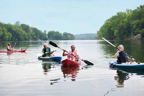 Four people kayaking on a calm river surrounded by lush green trees under a clear sky.