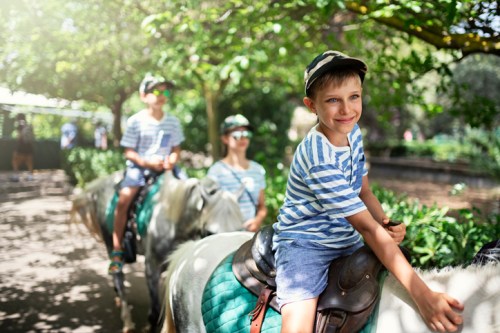 Three children riding ponies in a lush, green park, smiling and enjoying a sunny day.