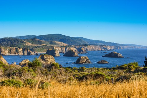 Coastal landscape with rocky formations, blue ocean, and green hills under a clear blue sky. Golden grass in the foreground.