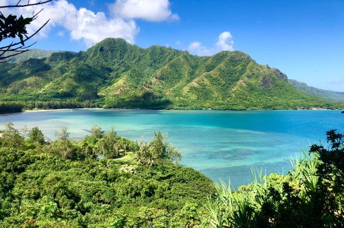 Lush green mountains rise above a tranquil blue bay under a clear sky, surrounded by vibrant tropical vegetation.