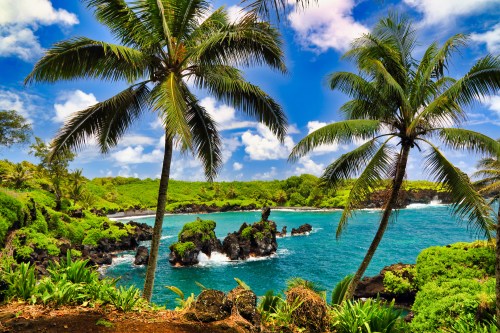 Tropical landscape featuring palm trees, lush greenery, and a vibrant blue ocean under a bright sky.