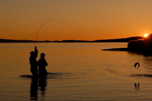 Two anglers fishing at sunset, one casting a line while a fish jumps out of the water. Silhouettes against a golden sky.