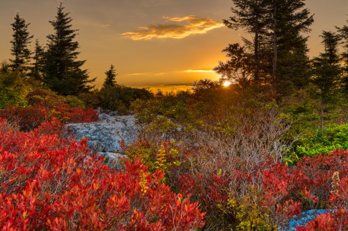 A vibrant sunset over a landscape of colorful autumn foliage and evergreen trees.