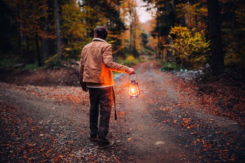 A person walks down a forest path, holding a glowing lantern, surrounded by autumn foliage.