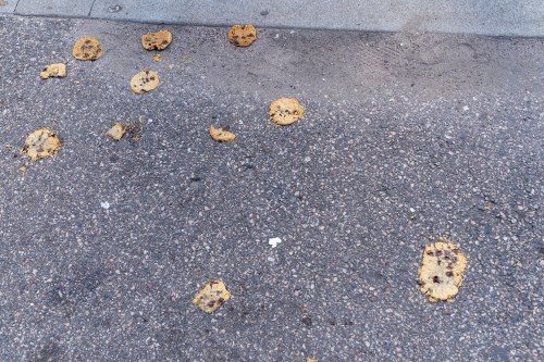 Scattered cookie pieces on a textured pavement, some with chocolate chips, creating a messy scene.