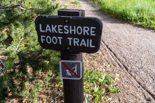 Signpost for "Lakeshore Foot Trail" with a no walking symbol, beside a gravel path surrounded by greenery.