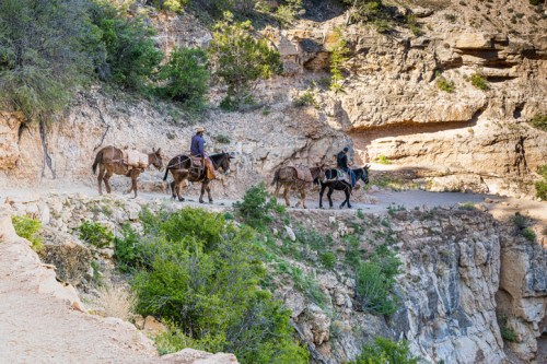 A group of riders on horseback traverses a rocky trail along a canyon, surrounded by greenery and steep cliffs.