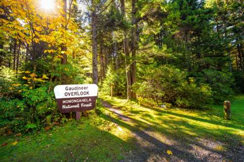 A sign for Gaudineer Overlook in Monongahela National Forest, surrounded by vibrant trees and sunlight.