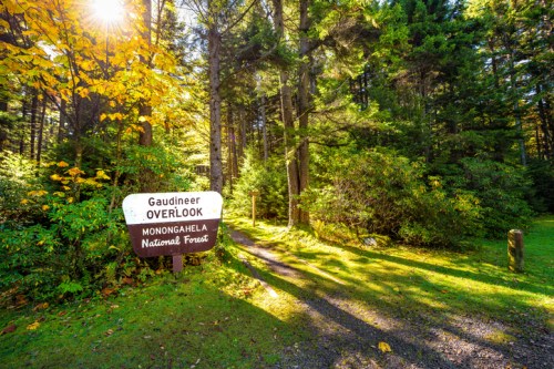 A sign for Gaudineer Overlook in Monongahela National Forest, surrounded by vibrant trees and sunlight.