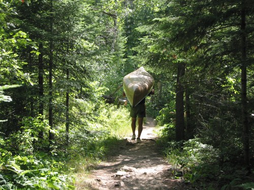 A person carries a canoe along a forested trail surrounded by lush greenery and tall trees.
