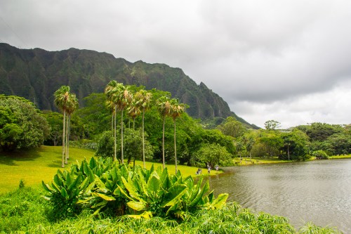 Lush green landscape with palm trees and a lake, set against a backdrop of mountains under a cloudy sky.