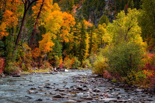 A serene river flows through a vibrant autumn landscape with colorful trees and rocky banks.