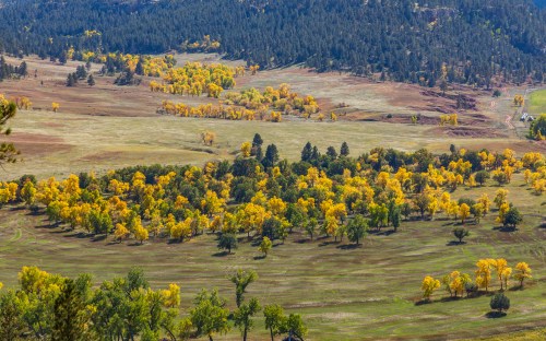 A scenic landscape featuring rolling hills and vibrant yellow trees in a lush green field under a clear blue sky.