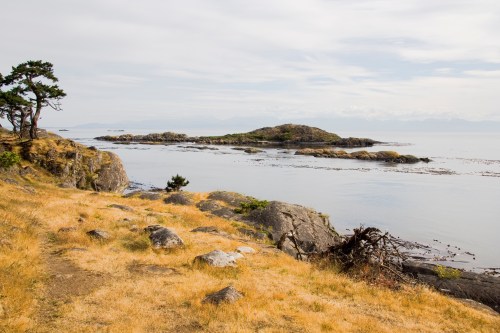 A serene coastal landscape with rocky shores, grassy areas, and calm waters under a cloudy sky.