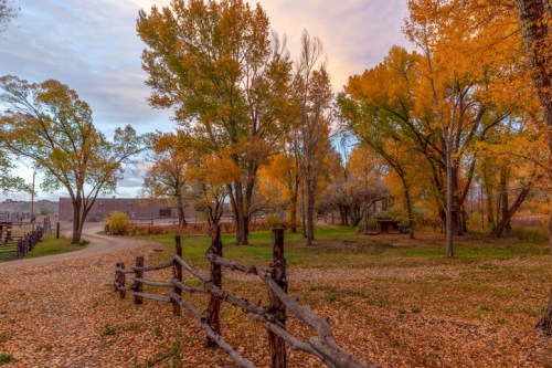 A serene autumn scene with colorful trees, fallen leaves, and a rustic wooden fence along a winding path.