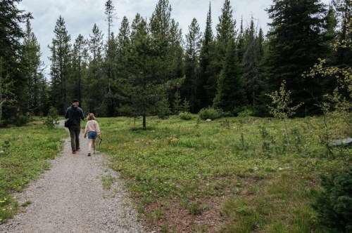 A person and a child walk along a gravel path through a lush green forest with tall trees.