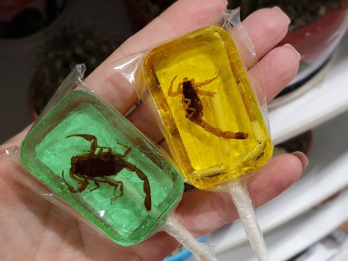A hand holding two lollipops, one green and one yellow, each containing a scorpion inside.