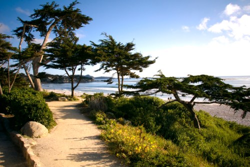 A scenic coastal path lined with trees, leading to a beach under a clear blue sky. Waves gently lap at the shore.