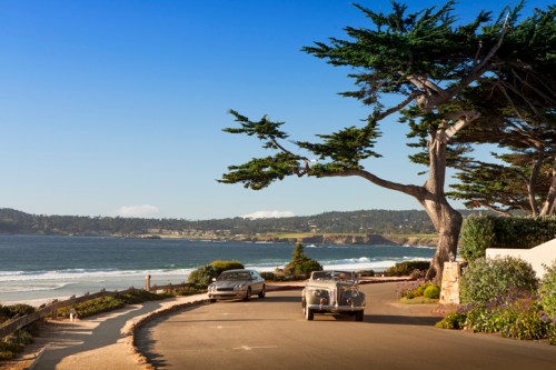 A scenic coastal road with two classic cars, framed by a large tree and ocean views in the background.