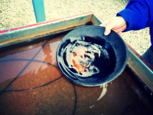 A person holds a black pan above a shallow water tank, swirling it to reveal sediment and possible gold flakes.