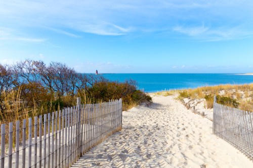 A sandy path leads to a tranquil beach with a lighthouse in the distance under a clear blue sky.