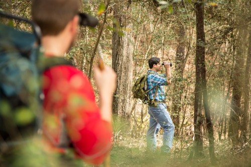 Two hikers in a forest, one observing with binoculars while the other stands nearby, holding a walking stick.