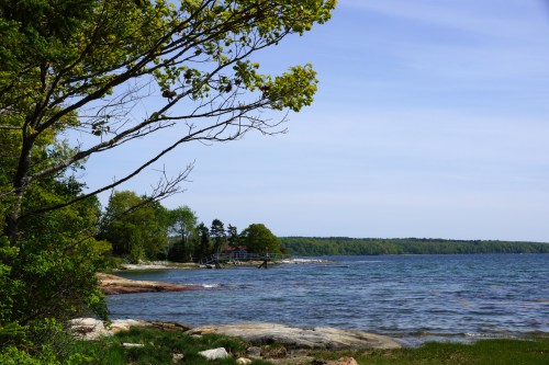 A serene lakeside scene with trees, rocky shore, and calm water under a clear blue sky.