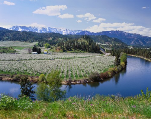 A scenic view of a river winding through lush fields and mountains, with blooming trees under a clear blue sky.