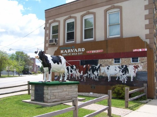 A large cow statue stands in front of a building with a mural of cows, welcoming visitors to Harvard, home of Milk Day.