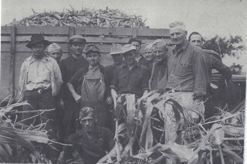 A group of men in work clothes standing near a cornfield, with a corn-filled wagon in the background.