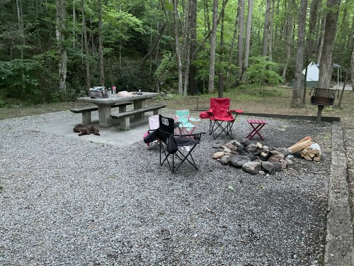 A campsite with a picnic table, chairs, a fire pit, and firewood surrounded by trees in a wooded area.