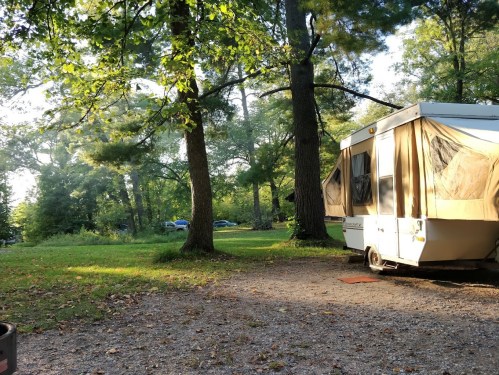 A pop-up camper parked in a wooded area, surrounded by trees and greenery, with sunlight filtering through the leaves.