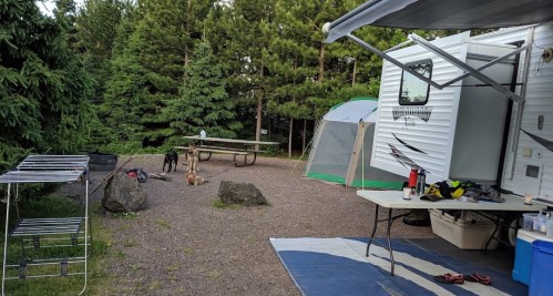 A campsite with an RV, picnic table, tent, and a dog on a gravel area surrounded by trees.