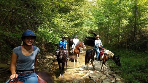 A group of people riding horses through a wooded area, with a stream and greenery surrounding them.