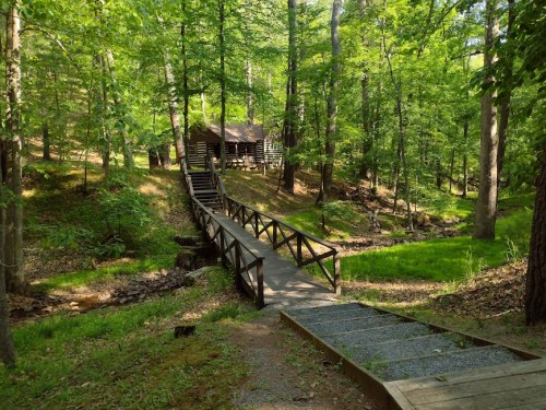 A wooden bridge leads to a cabin in a lush green forest, surrounded by trees and a small stream.