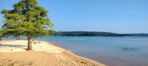 A serene beach scene with a large tree, sandy shore, and people swimming in calm water under a clear blue sky.