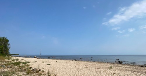 A serene beach scene with sandy shore, calm water, and a clear sky, dotted with rocks and sparse vegetation.