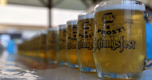 A row of beer mugs with "Prost!" and "Stiftungsfest" printed on them, filled with golden beer.