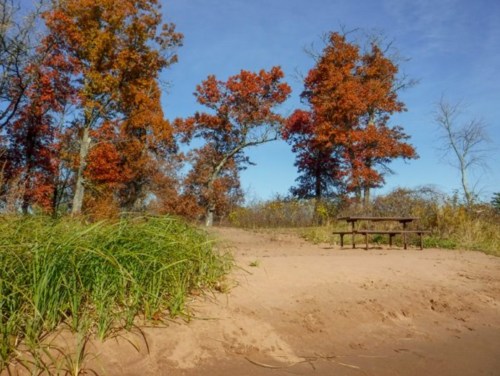 A sandy area with a picnic table surrounded by vibrant autumn trees and blue sky.