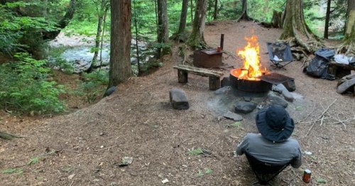 A person sits by a campfire in a forest, surrounded by trees and a small stream, enjoying the outdoors.