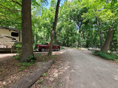 A dirt road in a wooded area with two parked vehicles and lush green trees surrounding the campsite.