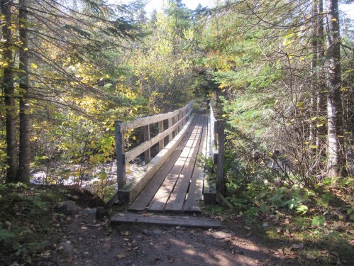 A wooden bridge spans a small stream, surrounded by trees with autumn foliage.