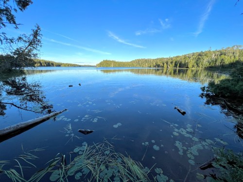 A serene lake surrounded by lush greenery under a clear blue sky, with reflections on the water's surface.