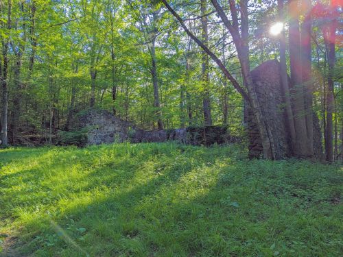 Ruins of a stone structure surrounded by lush green trees and sunlight filtering through the forest.