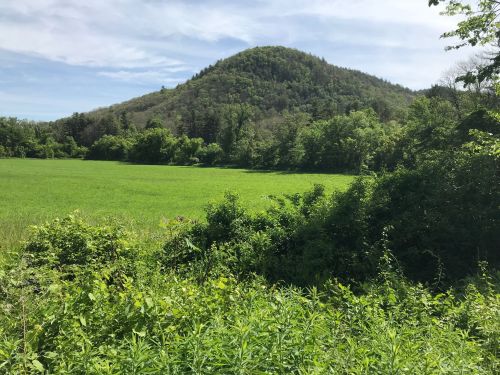 Lush green field in the foreground with a wooded hill in the background under a partly cloudy sky.