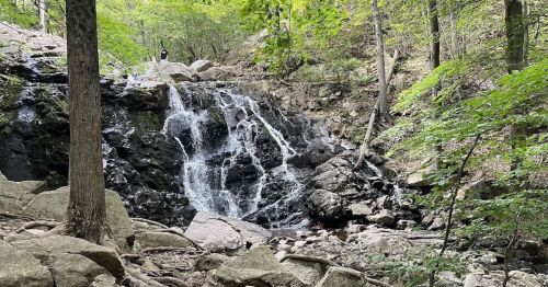 A serene waterfall cascades over rocks, surrounded by lush green trees in a tranquil forest setting.