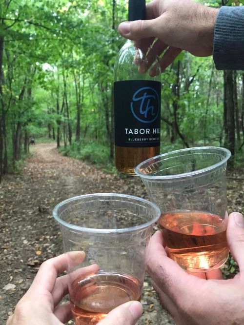 Two hands hold plastic cups of pink wine, while another hand lifts a bottle labeled "Tabor Hill" in a wooded path.