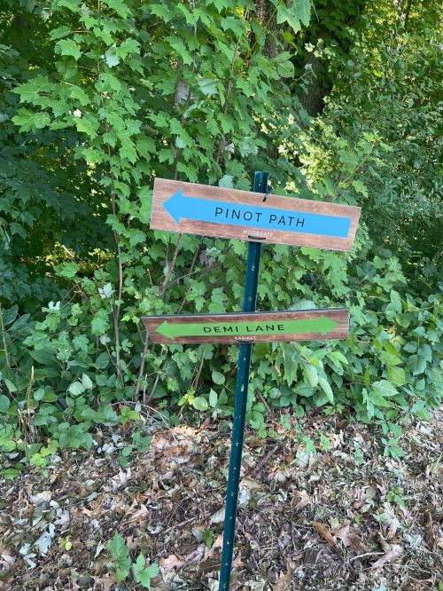 A wooden signpost with two arrows pointing to "Pinot Path" left and "Demi Lane" right, surrounded by greenery.