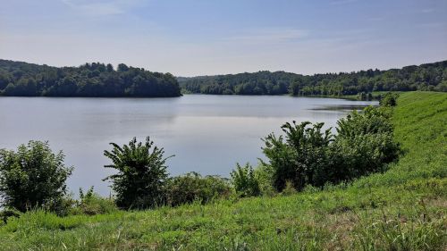 A serene lake surrounded by lush greenery and trees under a clear blue sky.