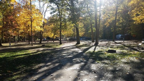 A sunlit forest path surrounded by trees with autumn leaves, leading to a campsite in a serene setting.